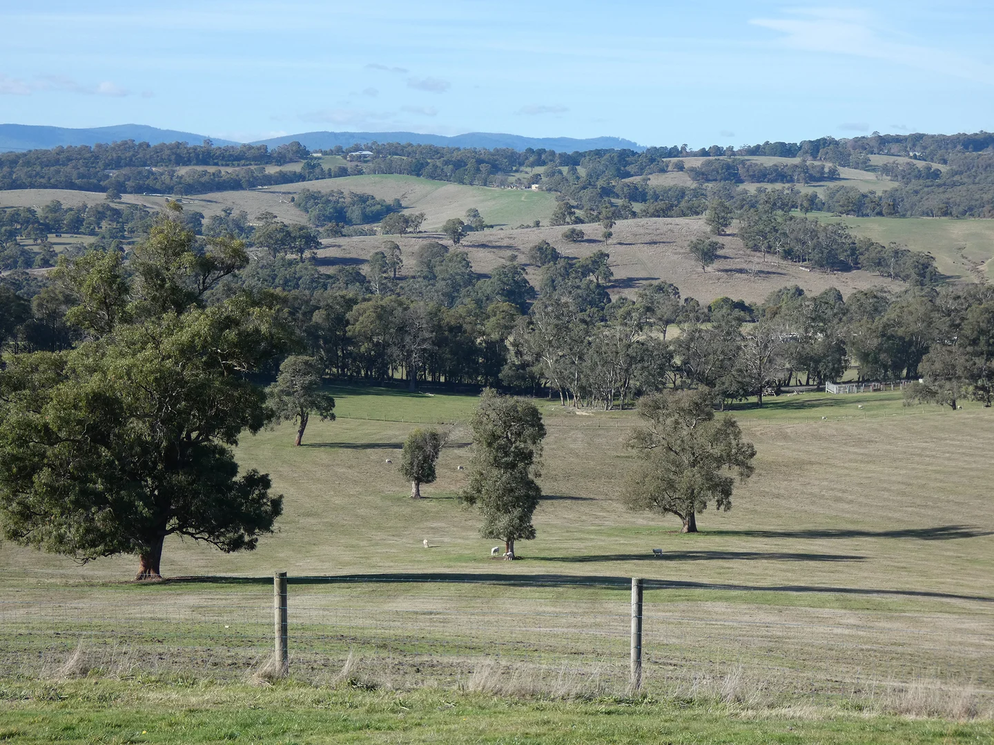 Image 8
