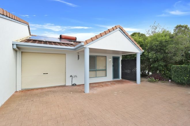 Picture of 1/103 Cypress Street, TORQUAY QLD 4655