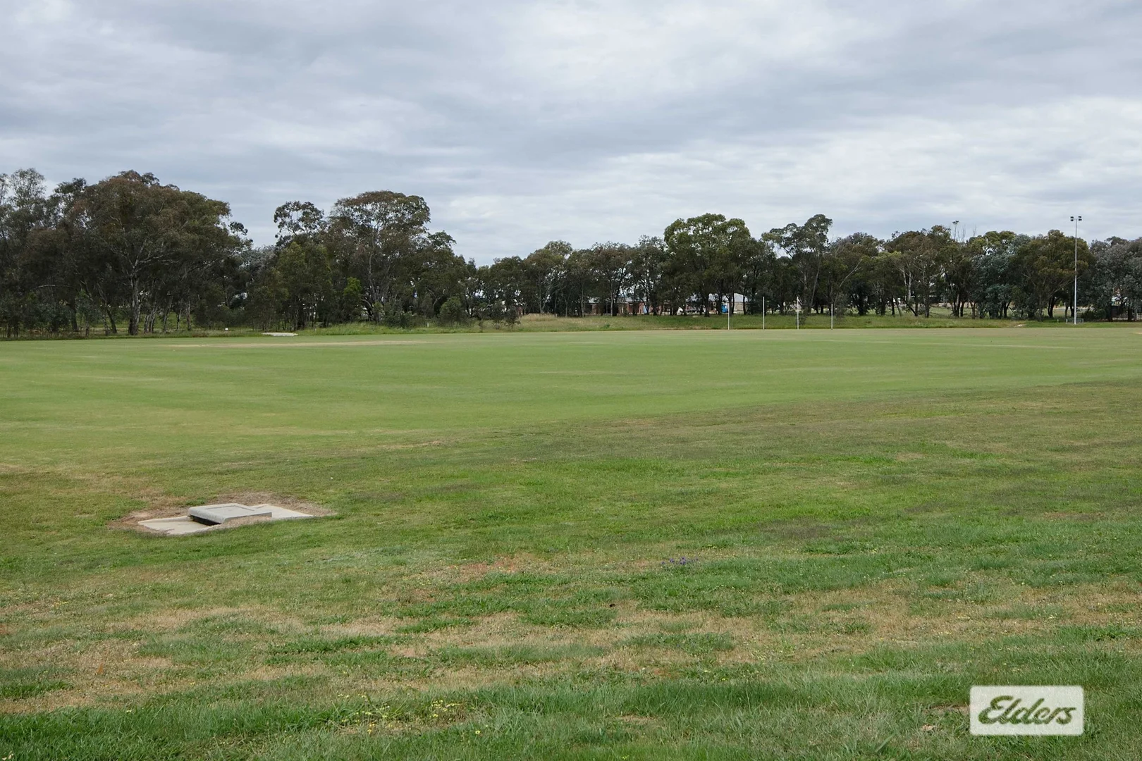 Image 15