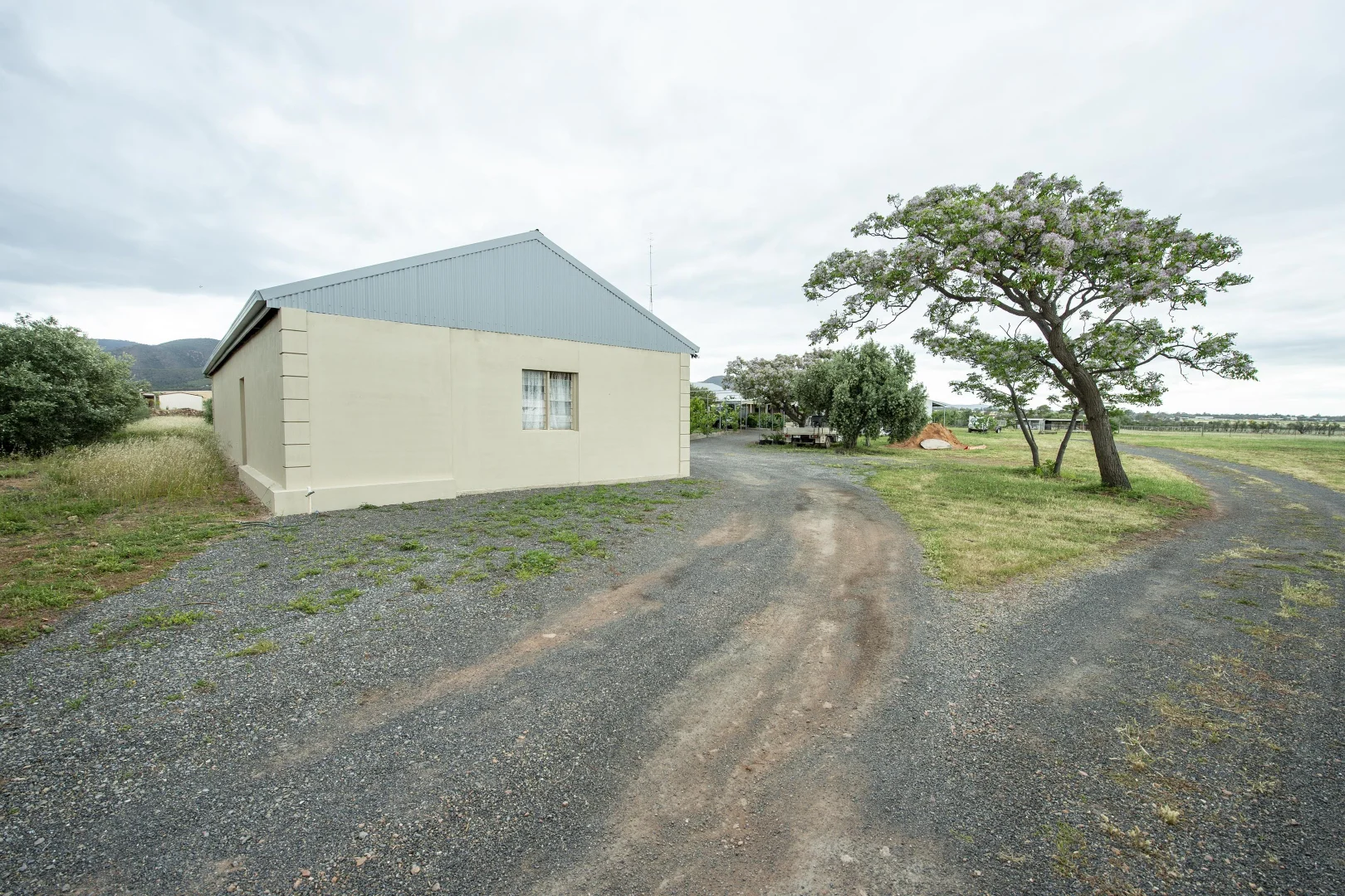 Image 12