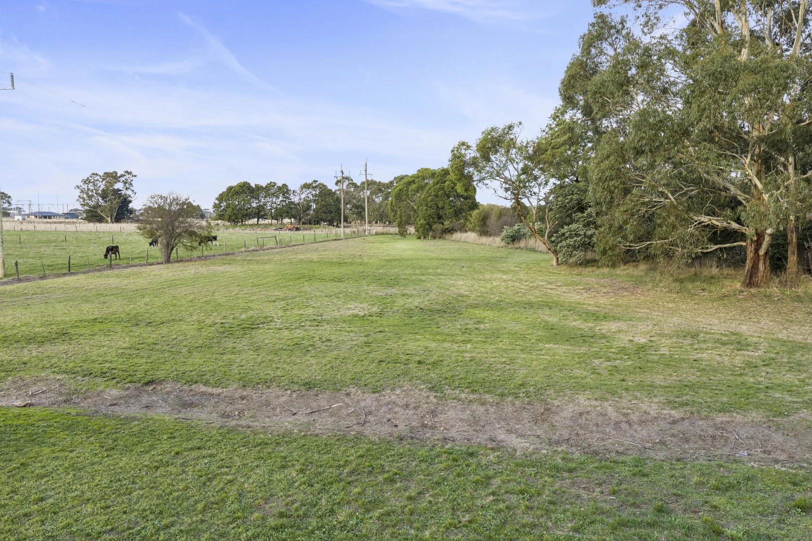 Image 18