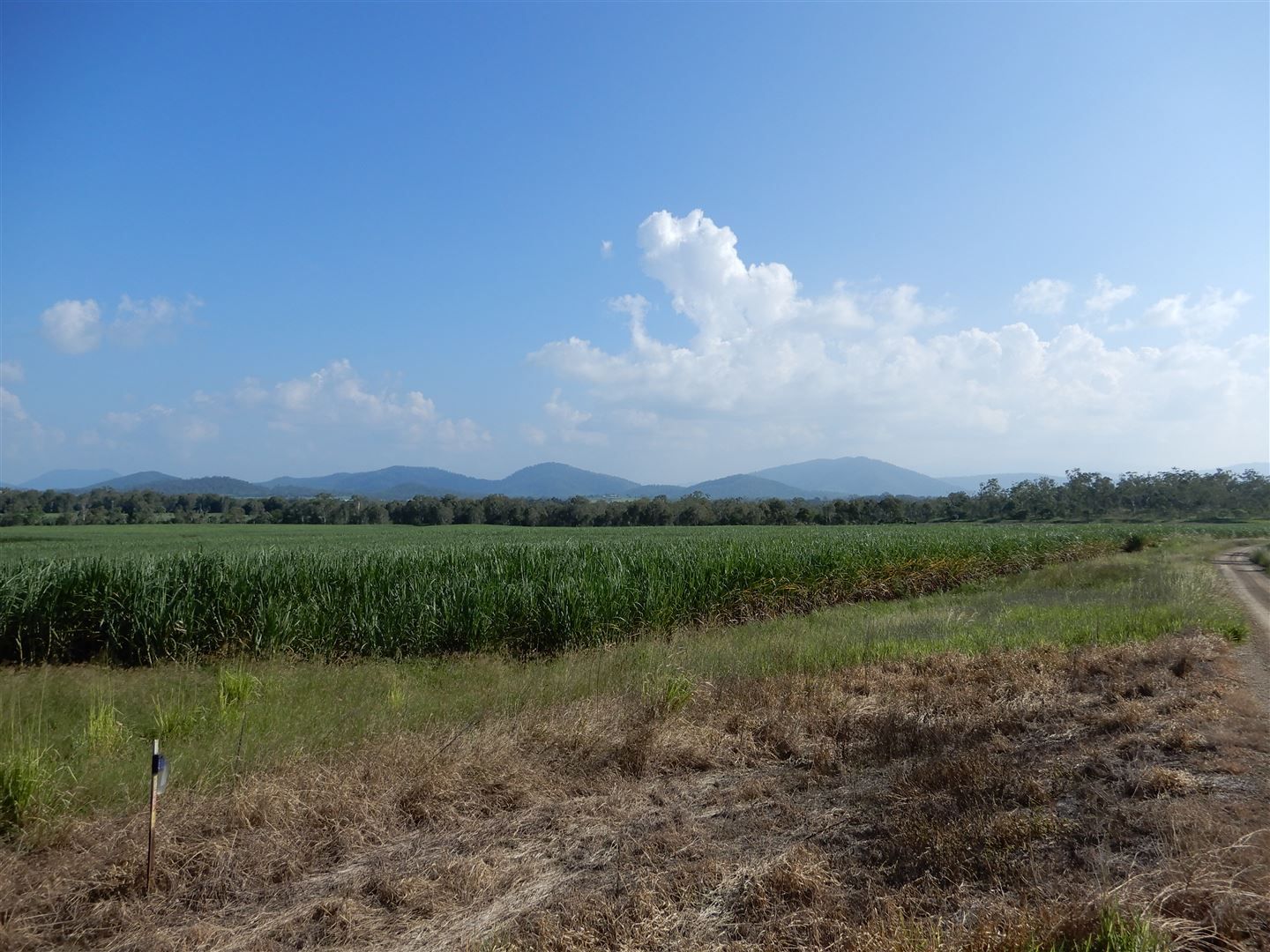 Mount Ossa QLD 4741, Image 2