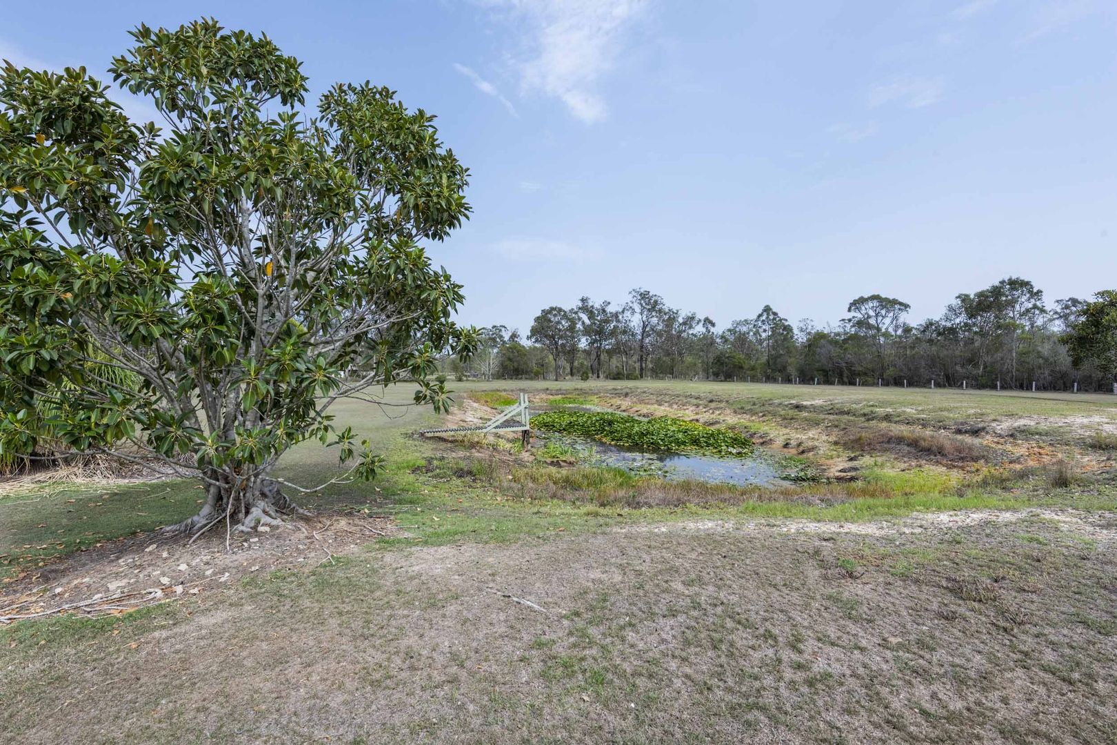 233 Lower Kangaroo Creek Road, Coutts Crossing NSW 2460, Image 2