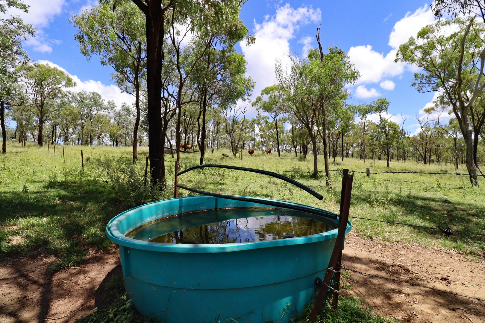 Additional image 21 of 8362 Dawson Highway, Dumgree QLD 4715