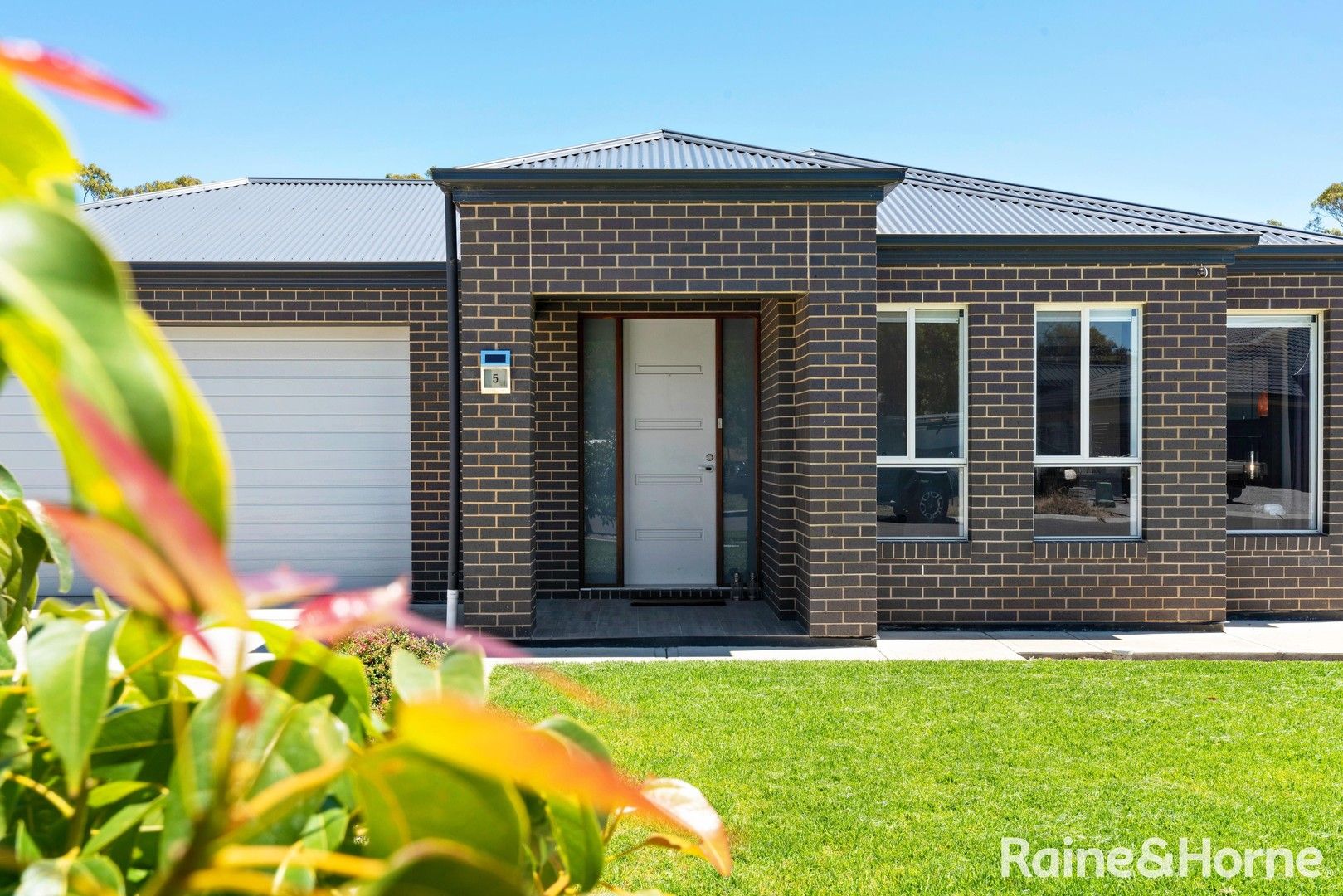 5 Catt Court Meadows SA 5201 Domain