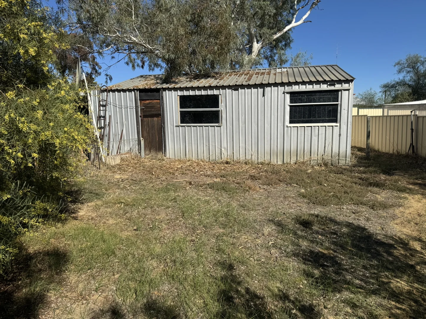 Image 21