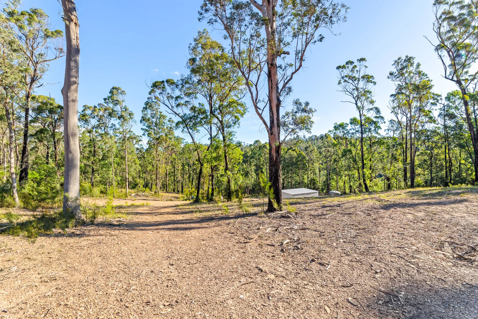 Image 13