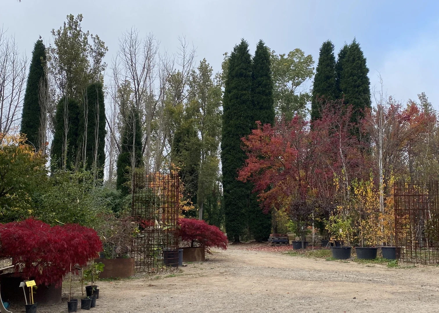 Additional image 5 of 41 Oxleys Hill Road, Bowral NSW 2576