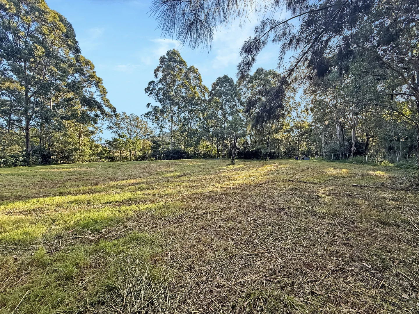 Additional image 9 of 2938 Paynes Crossing Rd, Wollombi NSW 2325