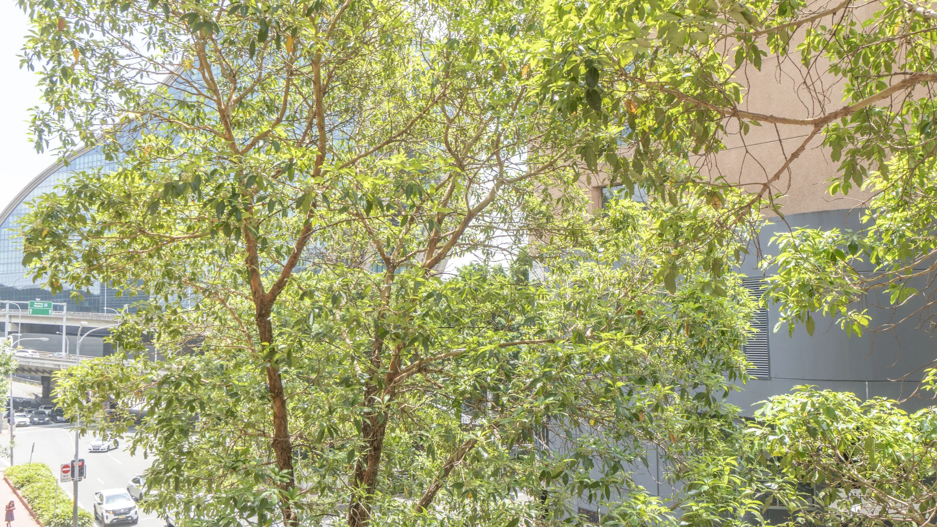 Additional image 14 of 146/159 Day Street, Sydney NSW 2000