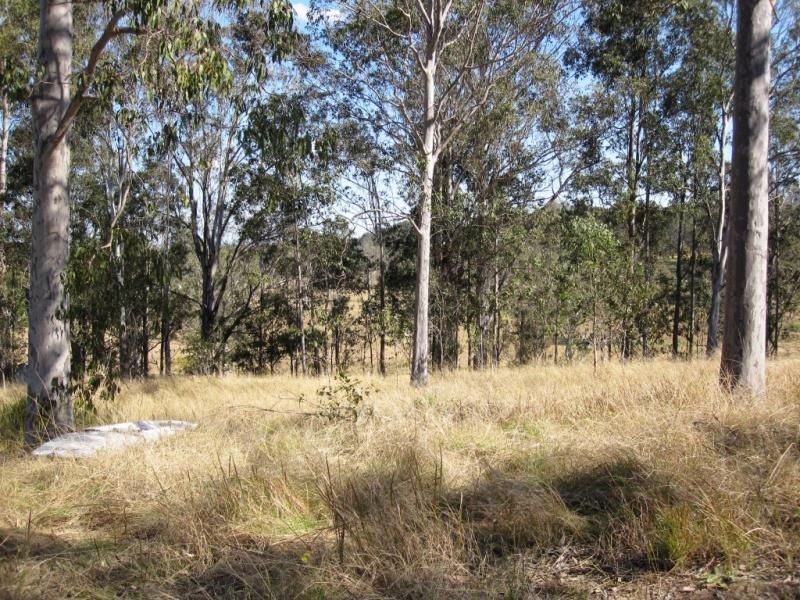 Lot 4 Carey Street, Bonalbo NSW 2469, Image 2