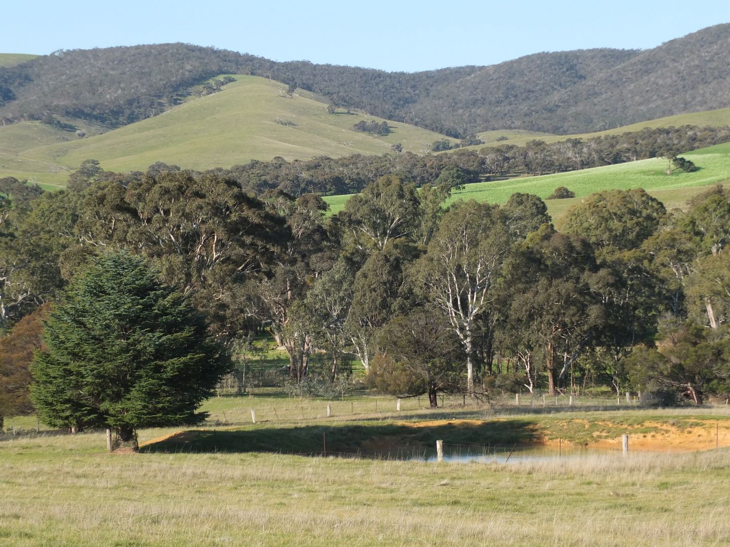 CA203 & CA 204 Amphitheatre Rd, Mount Lonarch VIC 3468, Image 1