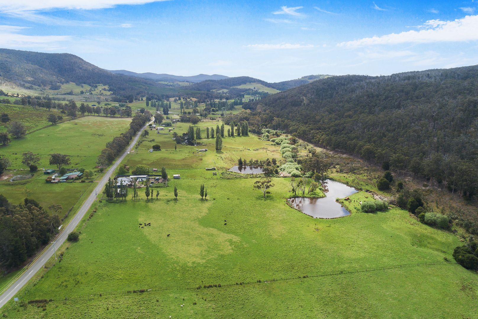 Lot 1 Ellendale Road, Westerway TAS 7140, Image 2