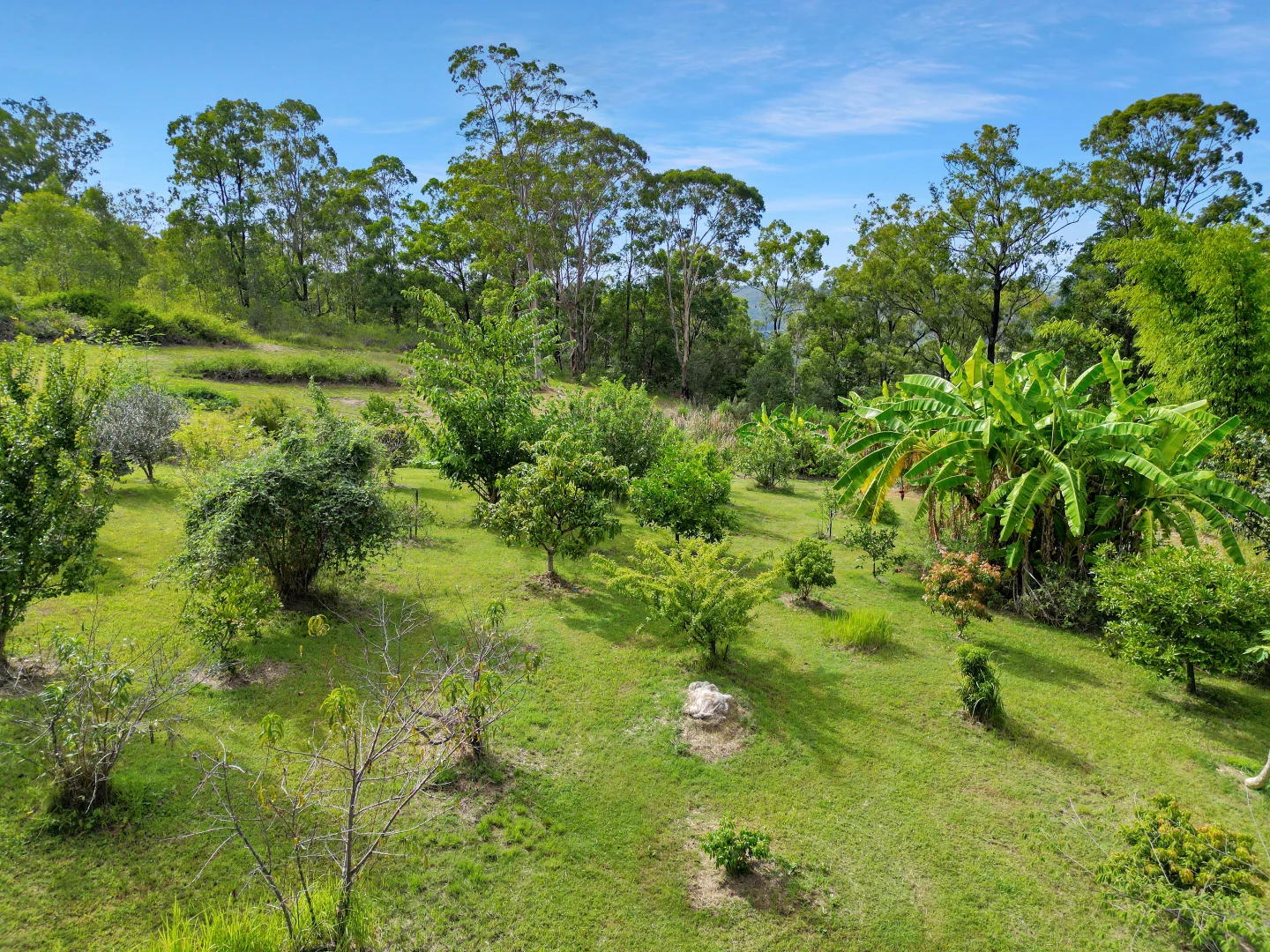 Additional image 23 of 220 Lees Lane, Hogarth Range NSW 2469