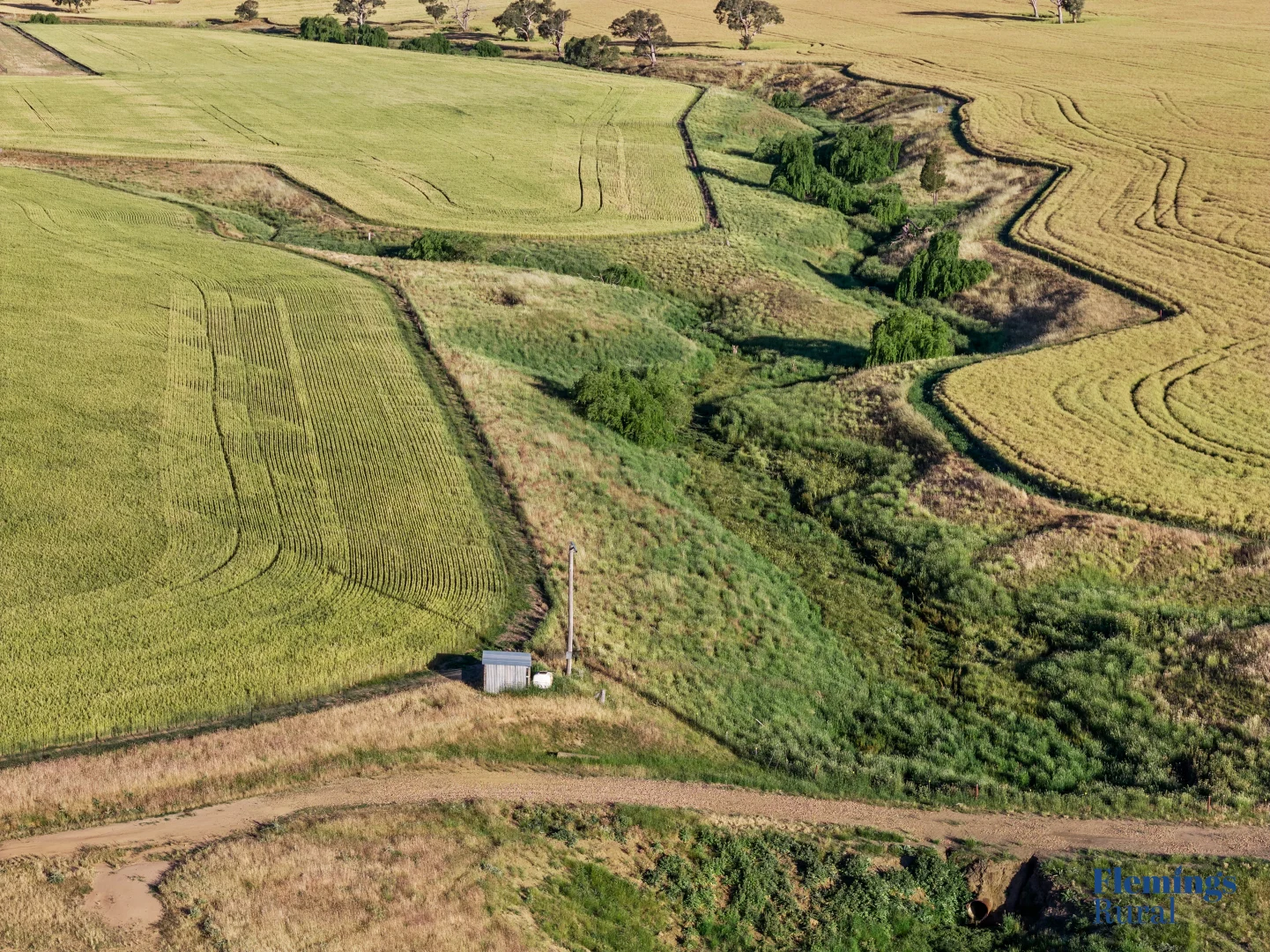 Image 10
