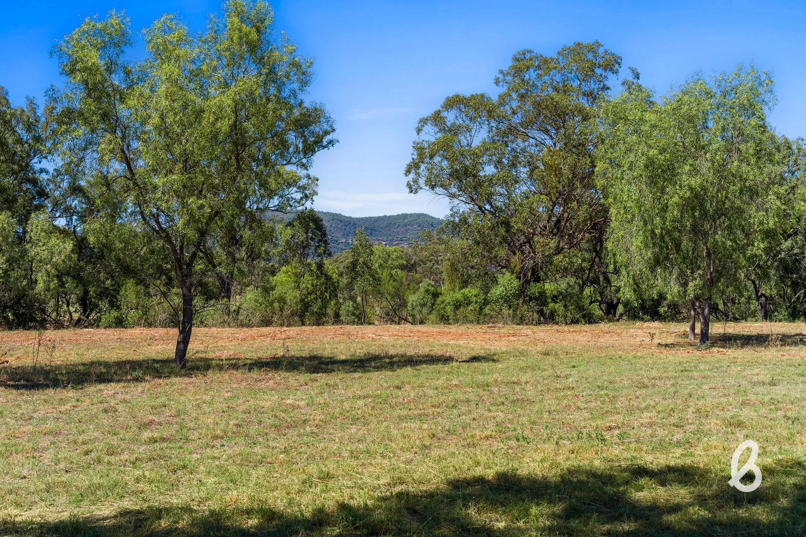 Additional image 44 of Lot 12 Redmanvale Road, Jerrys Plains NSW 2330