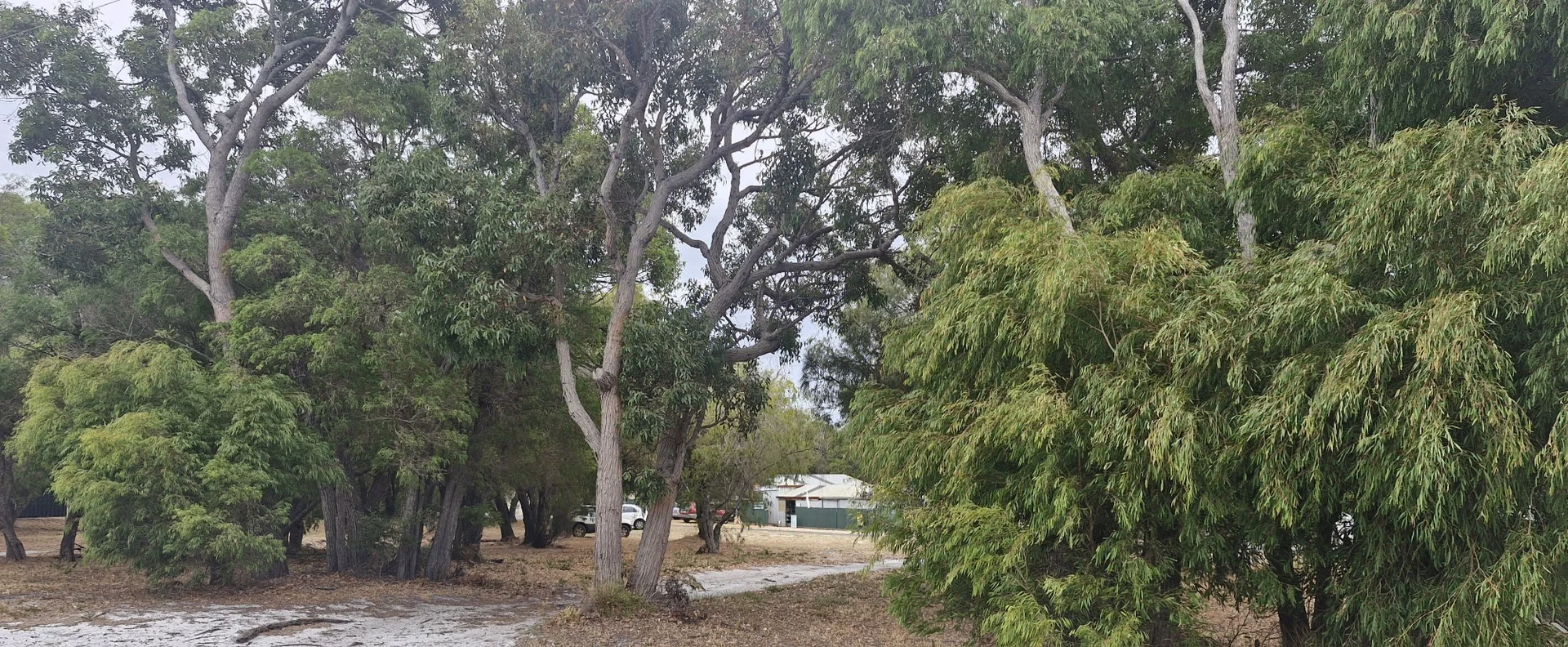 10 Latham Avenue, Walpole WA 6398