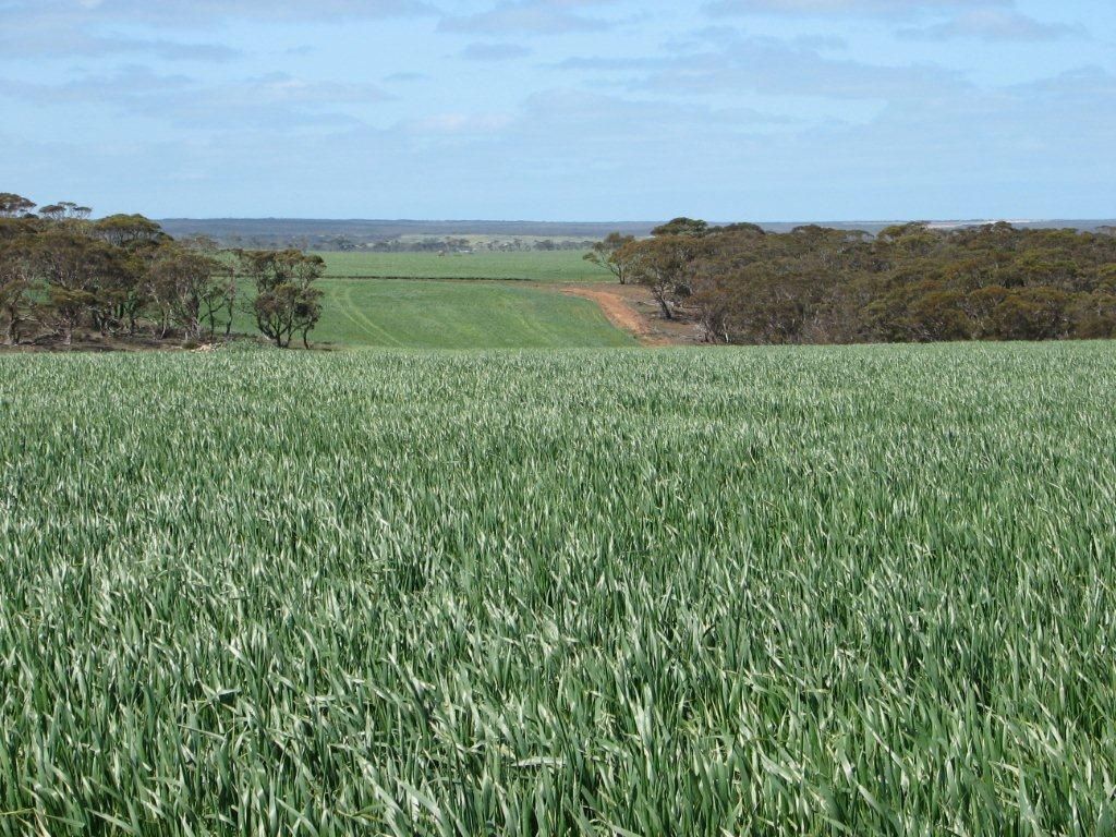 South Coastal Highway, Ravensthorpe WA 6346, Image 1