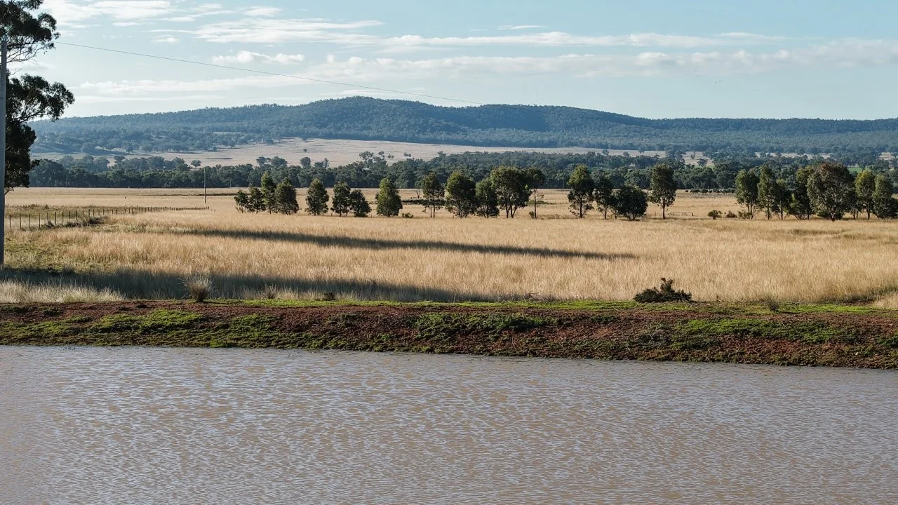 Image 17
