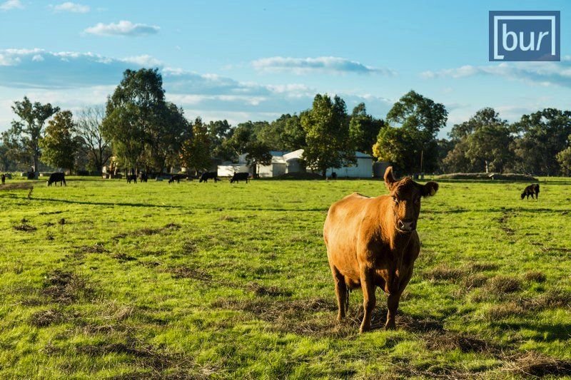 . Conisbee Lane, Bonegilla VIC 3691, Image 1