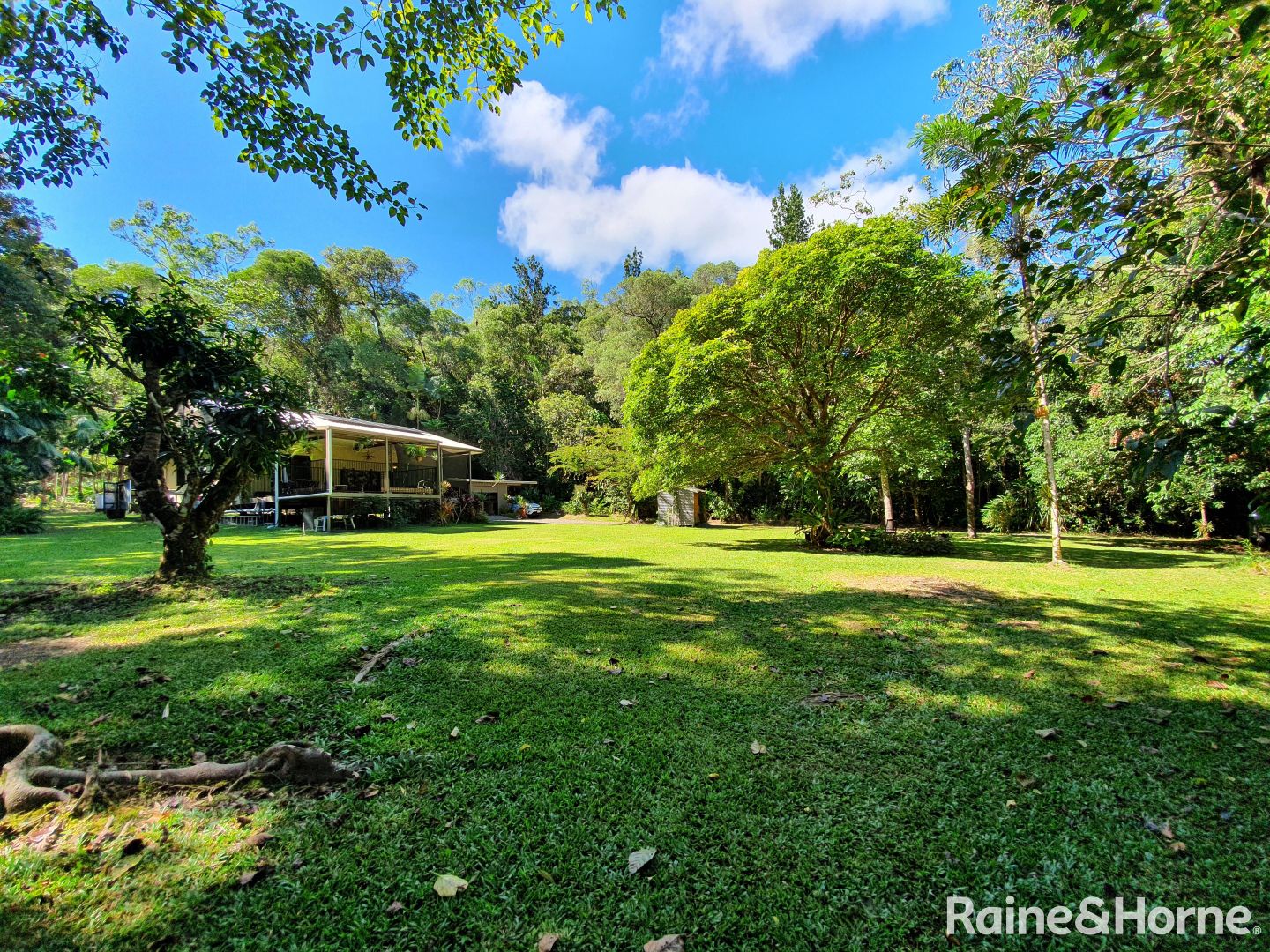 350 Forest Creek Road, Forest Creek, Daintree QLD 4873, Image 2