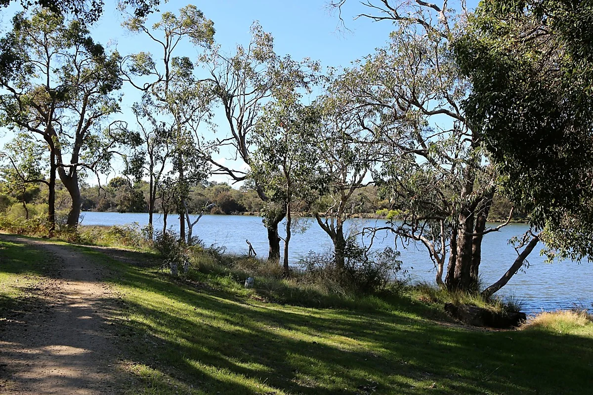 Image 18