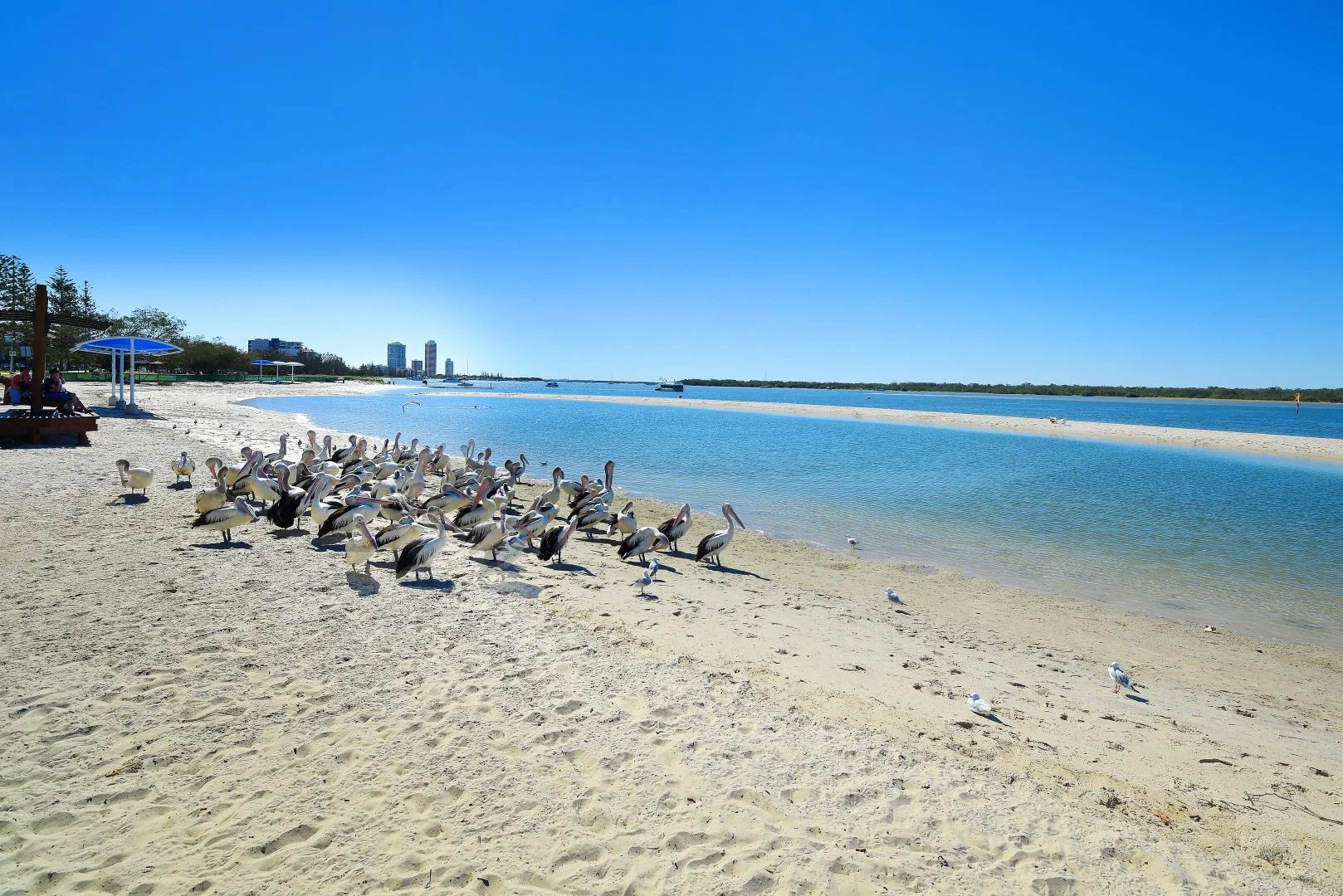 Additional image 24 of 502/372-374 Marine Parade, Labrador QLD 4215