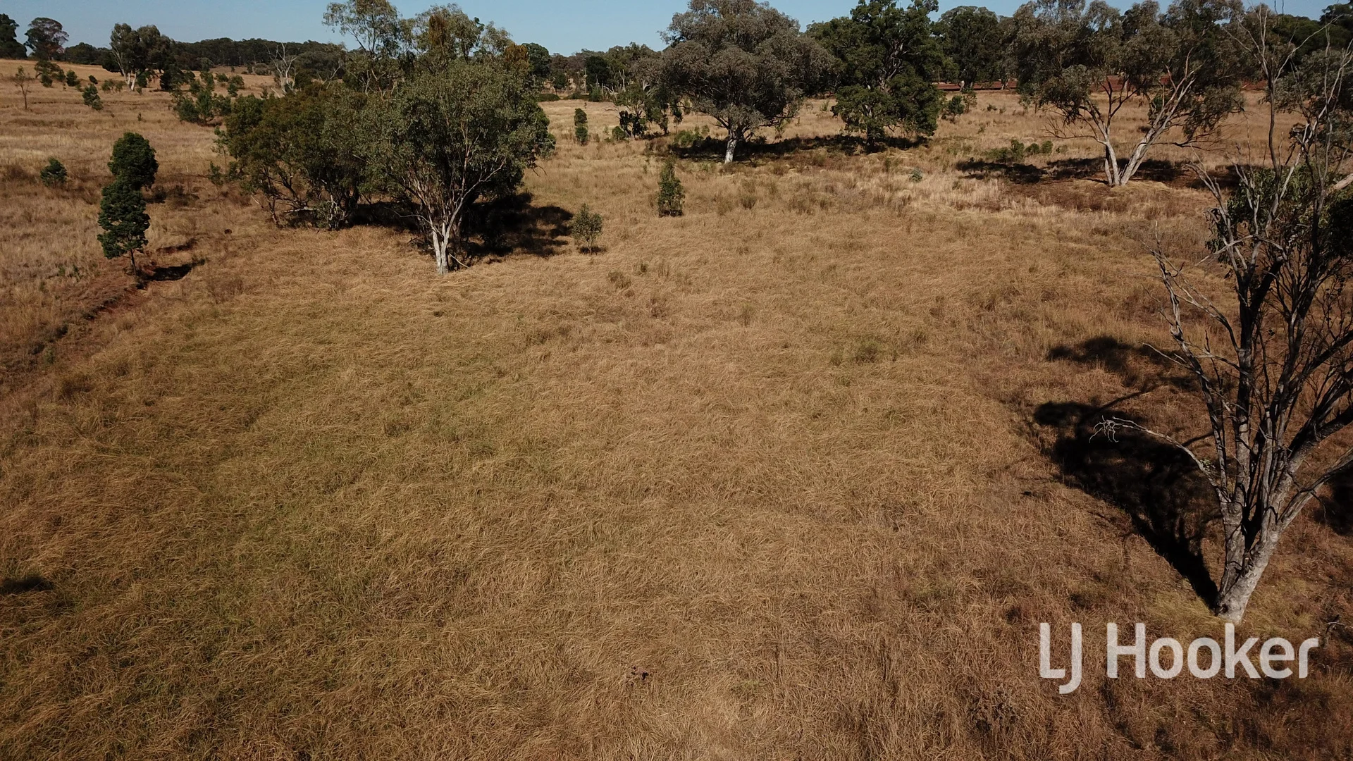 Additional image 15 of Gwydir Highway, Inverell NSW 2360