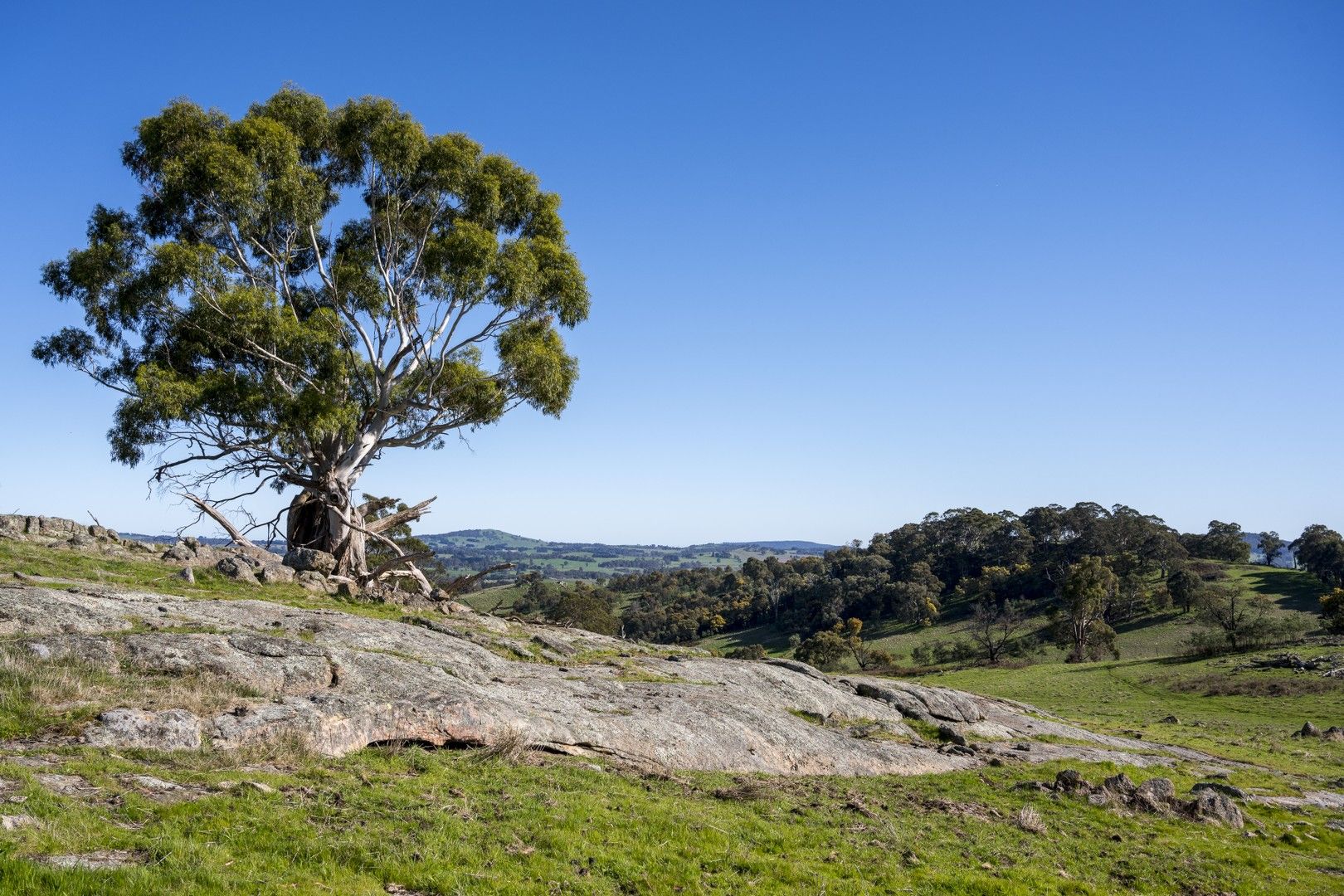 455 Tames Road, Strathbogie VIC 3666 House for Sale Domain