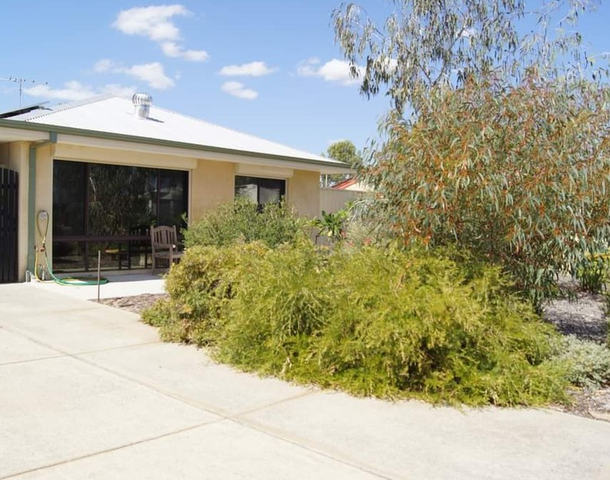 20 Wisteria Crescent, Pinjarra WA 6208