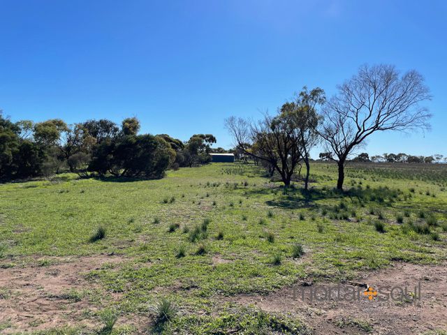 LOT 113 Bonniefield Rd E, Bonniefield WA 6525, Image 1