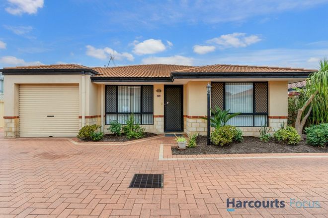 Picture of 37E Renou Street, QUEENS PARK WA 6107