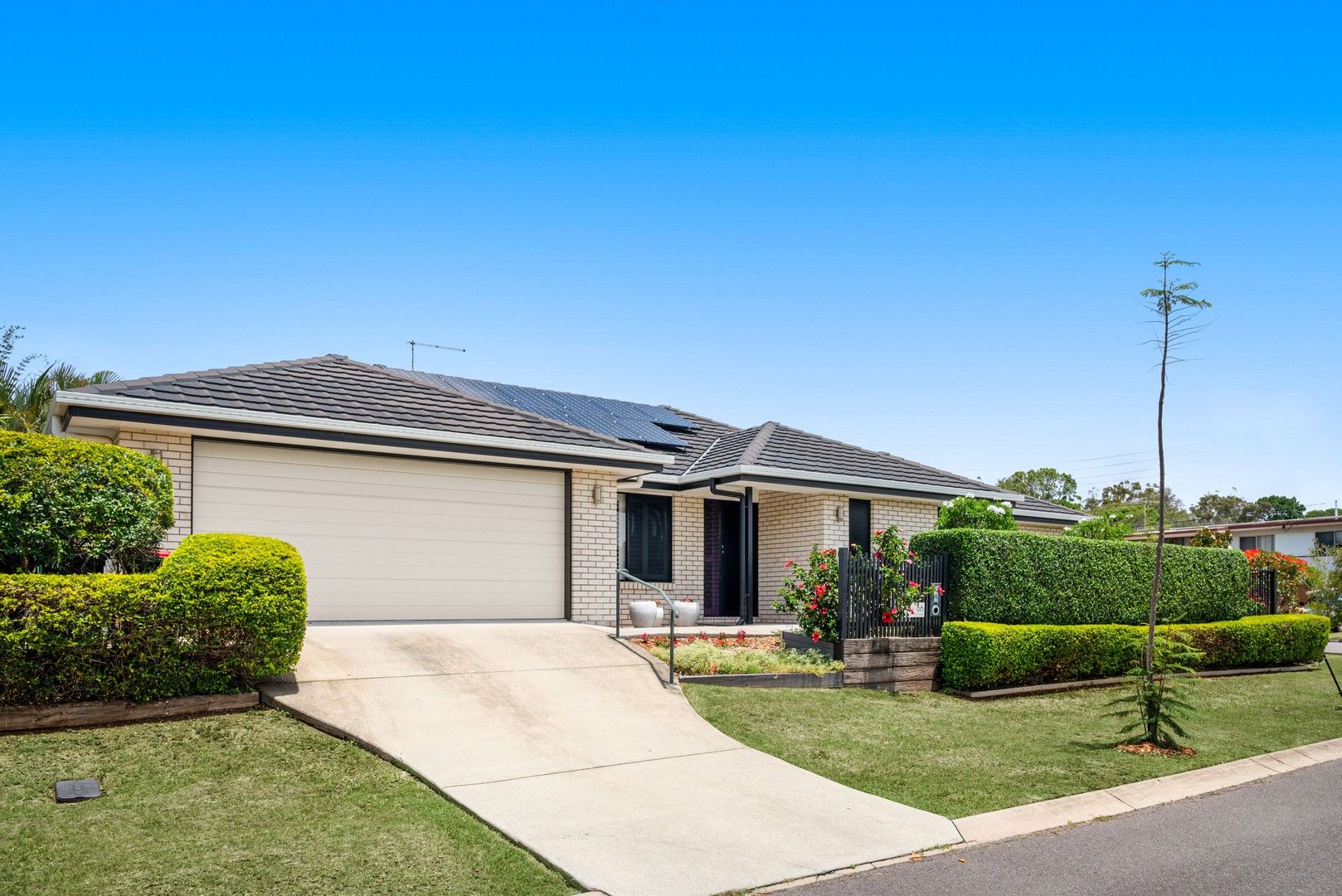 66 Saint Conel Street, Nudgee QLD 4014, Image 2