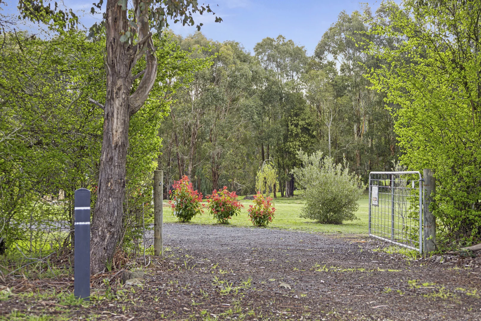 Additional image 9 of 245 Ridge Road, Sailors Hill VIC 3461