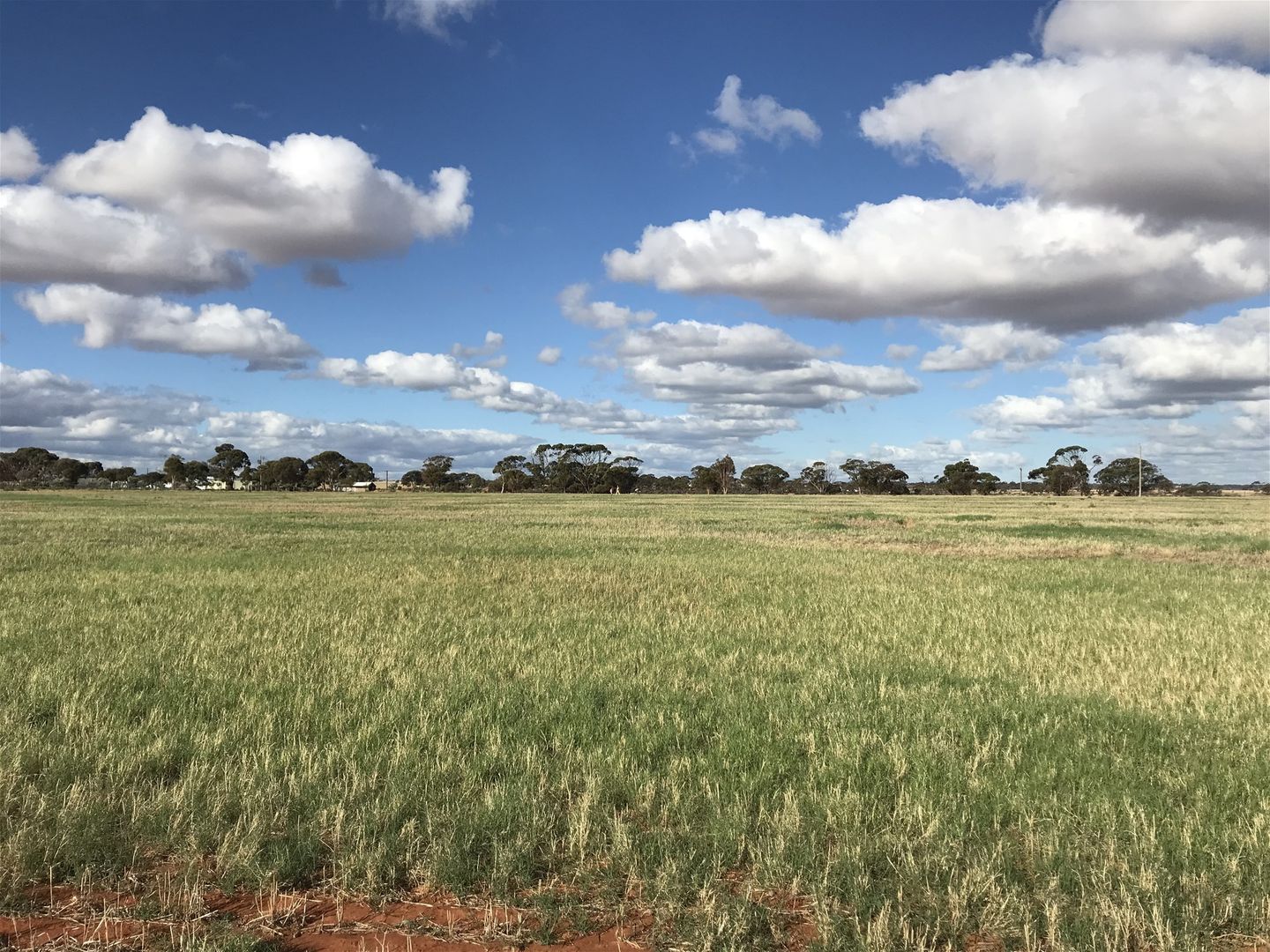 Lot 72/151 Cameron Road & Koolyanobbing Southern Cross Road, Southern