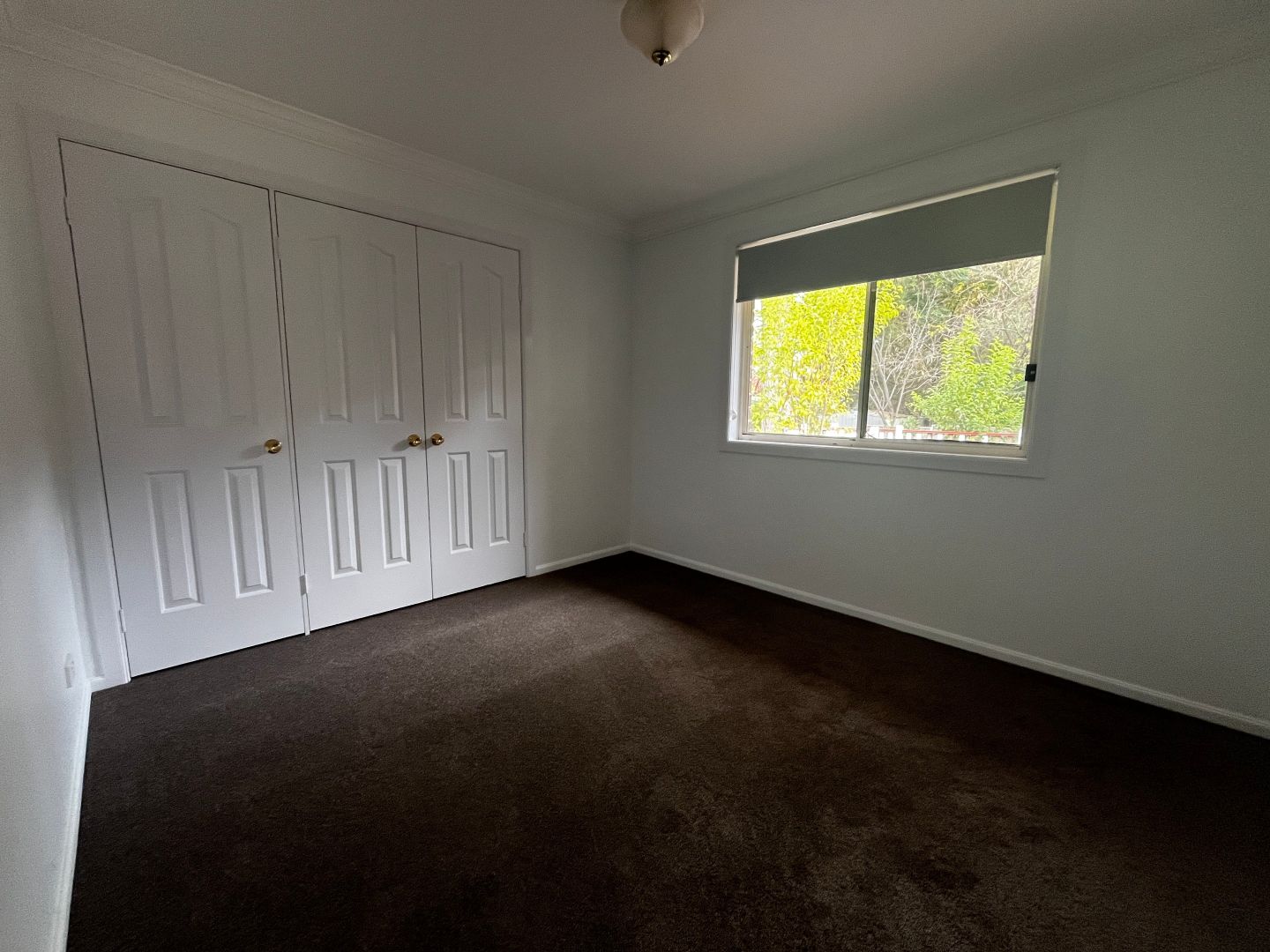 4 Glendower Close, Armidale NSW 2350 House For Rent Domain