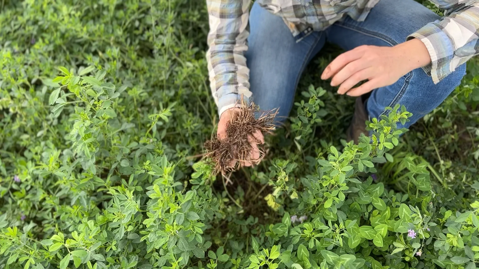 Additional image 16 of "Rivendell" 698 Woodstock Road, Inverell NSW 2360