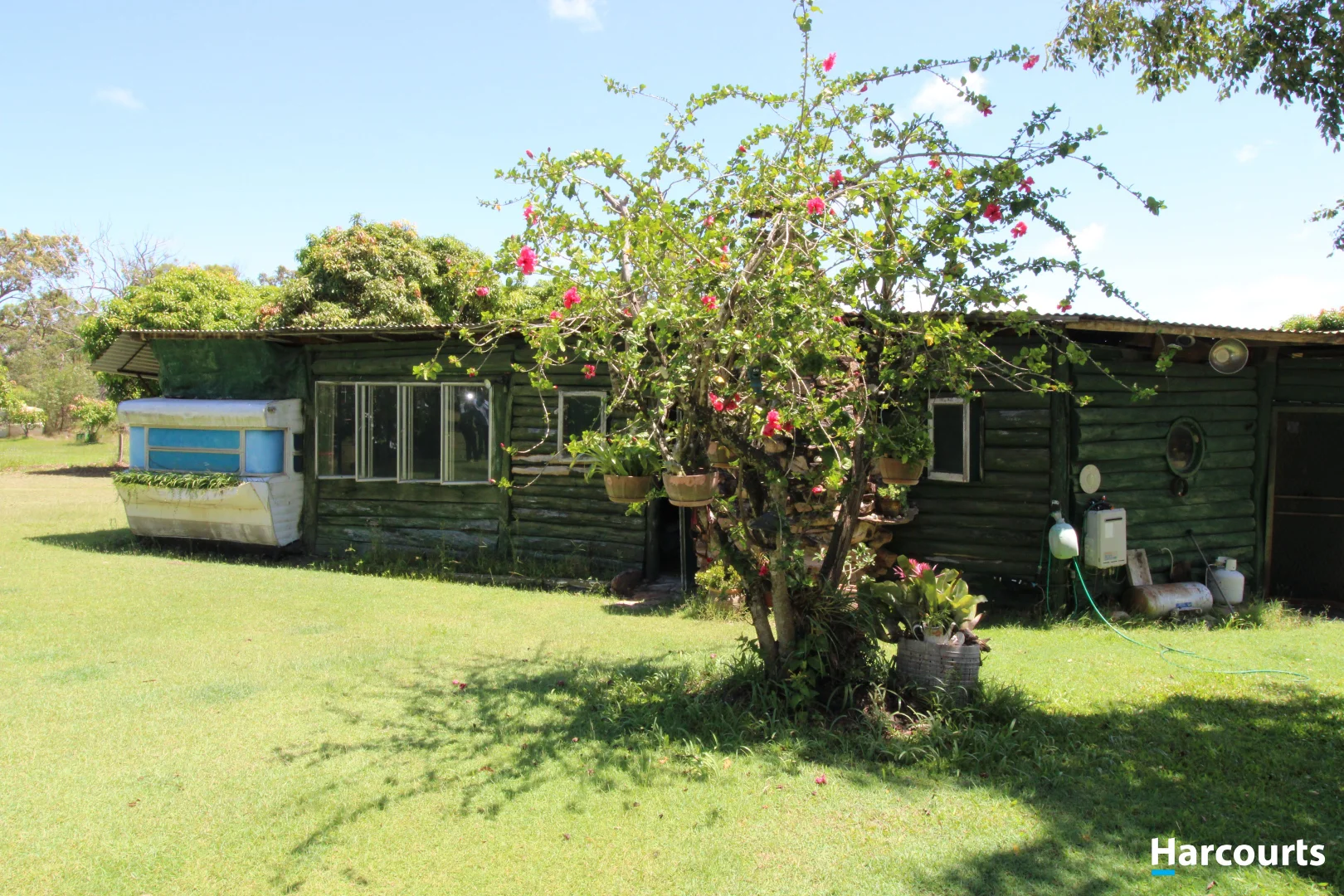 Image 14
