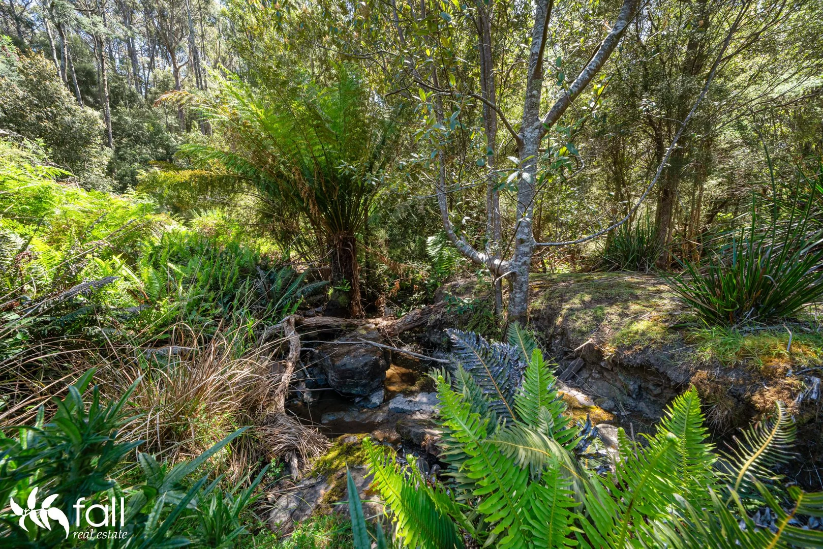 Image 38