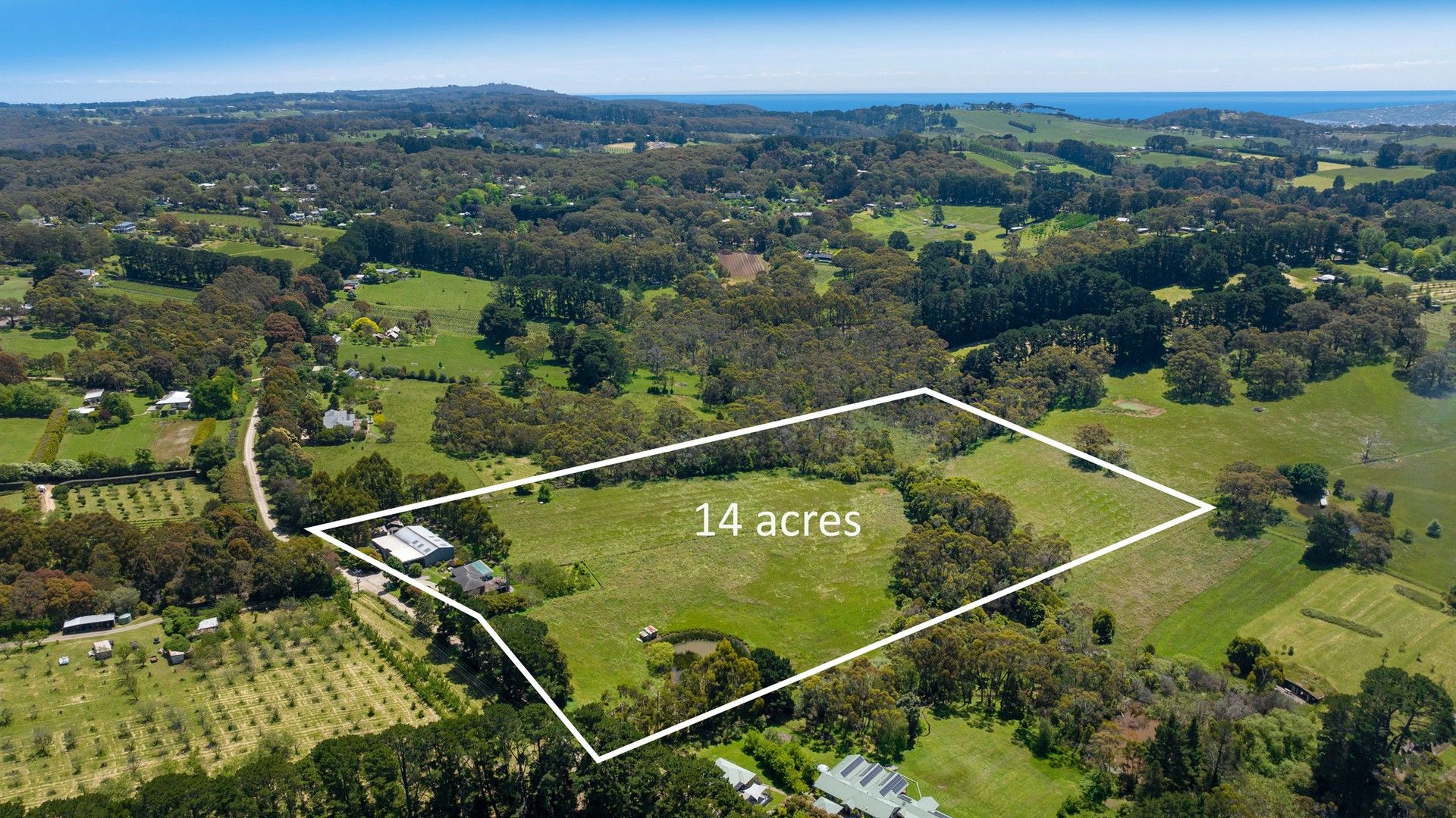 43 Thomas Road, Red Hill South VIC 3937, Image 0