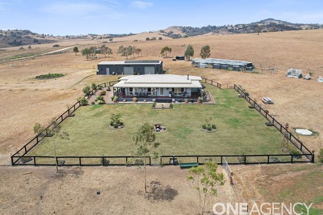 Picture of 1165 Old Wallabadah Road, CRAWNEY NSW 2338