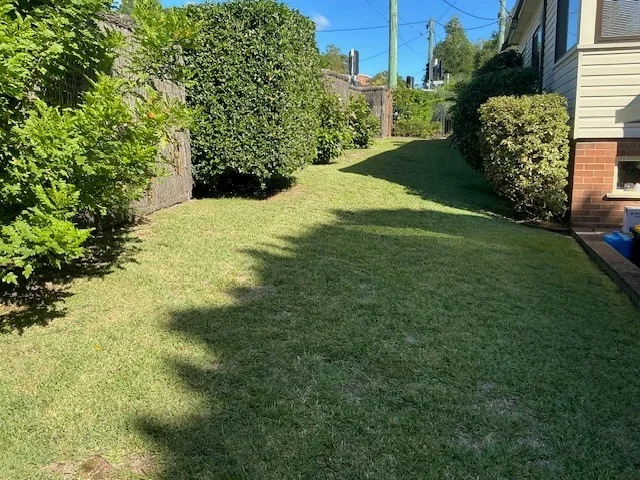 Additional image 11 of 156 Frenchs Forest Road, Frenchs Forest NSW 2086
