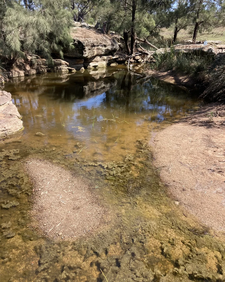 Image 15