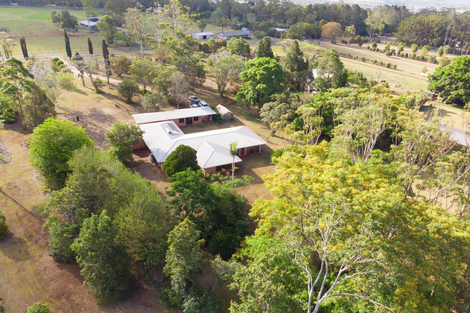 16 Appaloosa Crescent, Tolga QLD 4882, Image 2