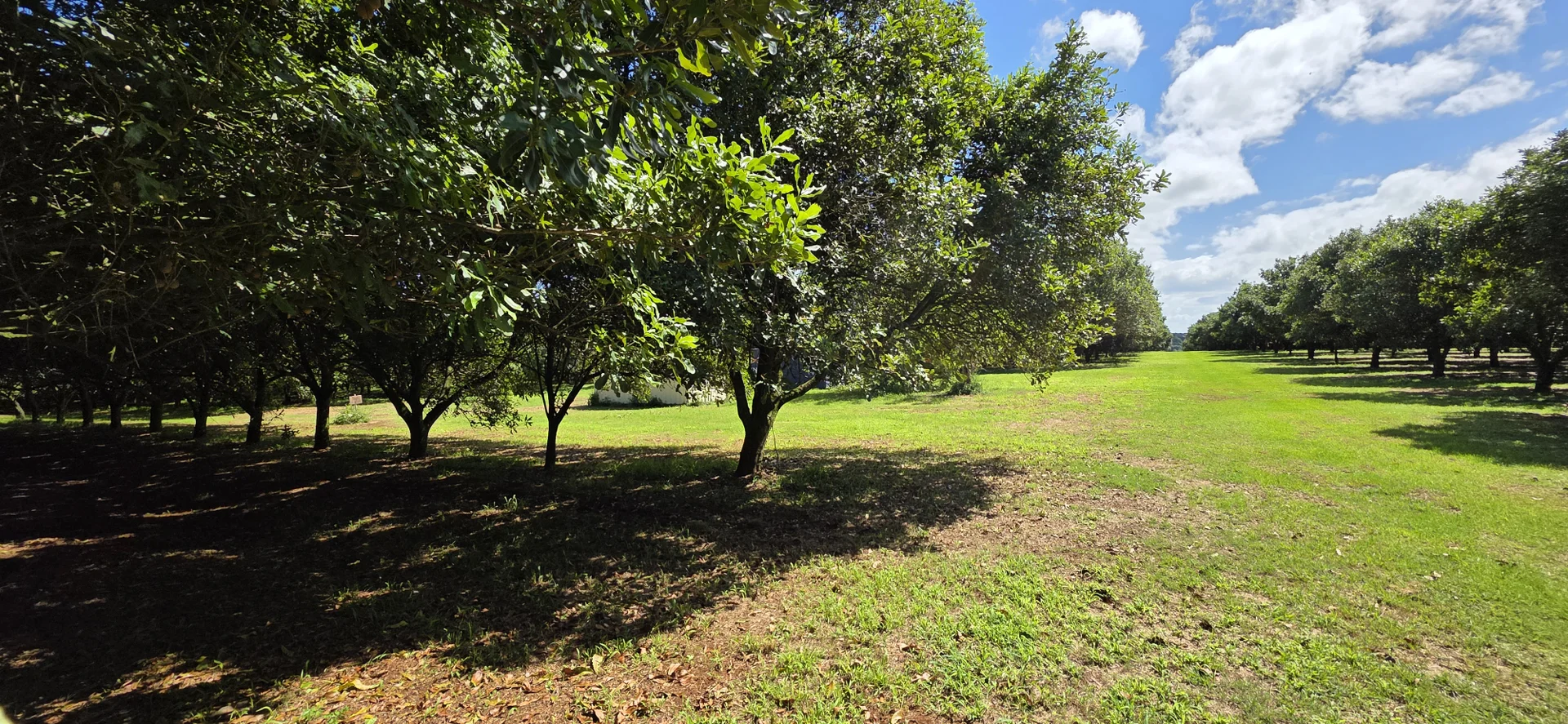 Additional image 19 of 502 Wardell Road, Alstonville NSW 2477