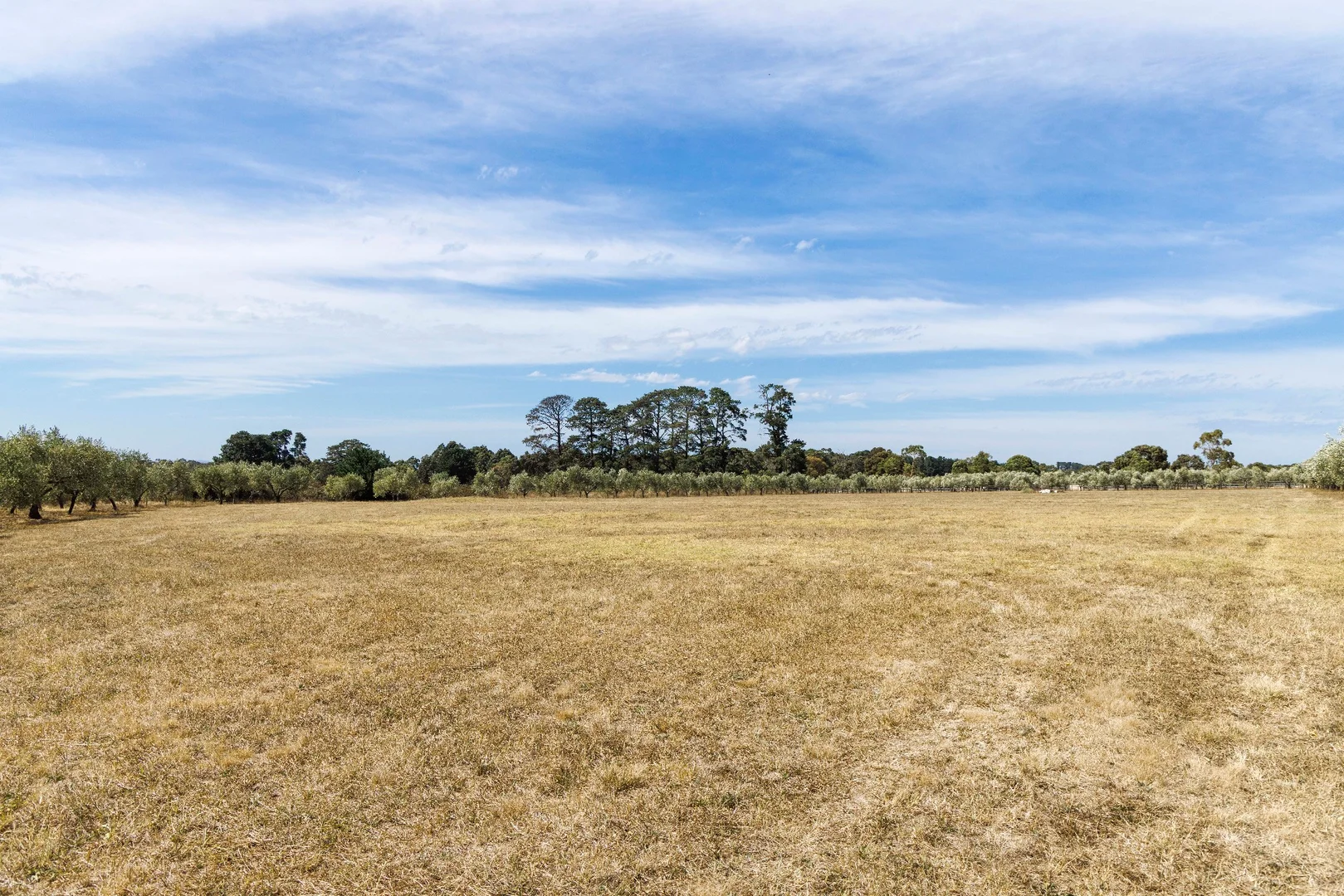 Additional image 12 of 191 Coolart Road, Hastings VIC 3915