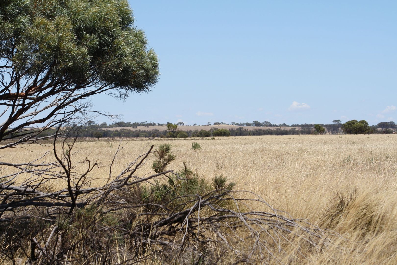 Lot 1 Rifle Range Road, Dumbleyung WA 6350, Image 2