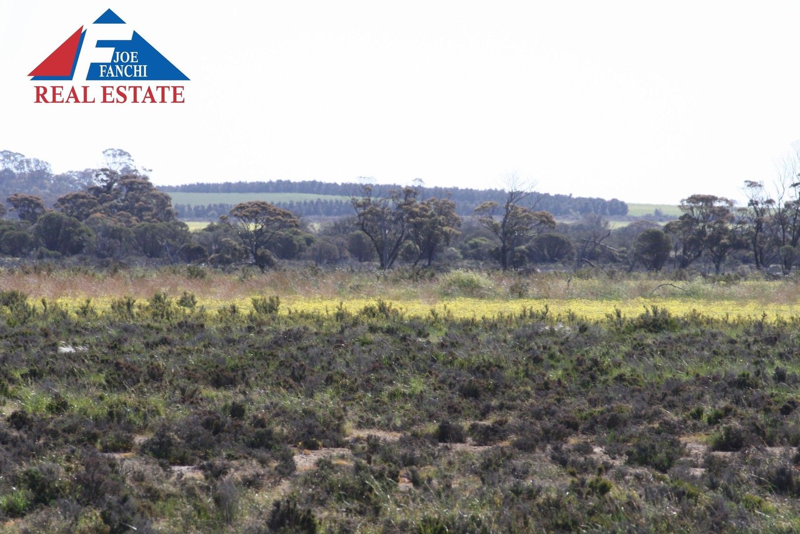 Lot 2 Rifle Range Road, Dumbleyung WA 6350, Image 0