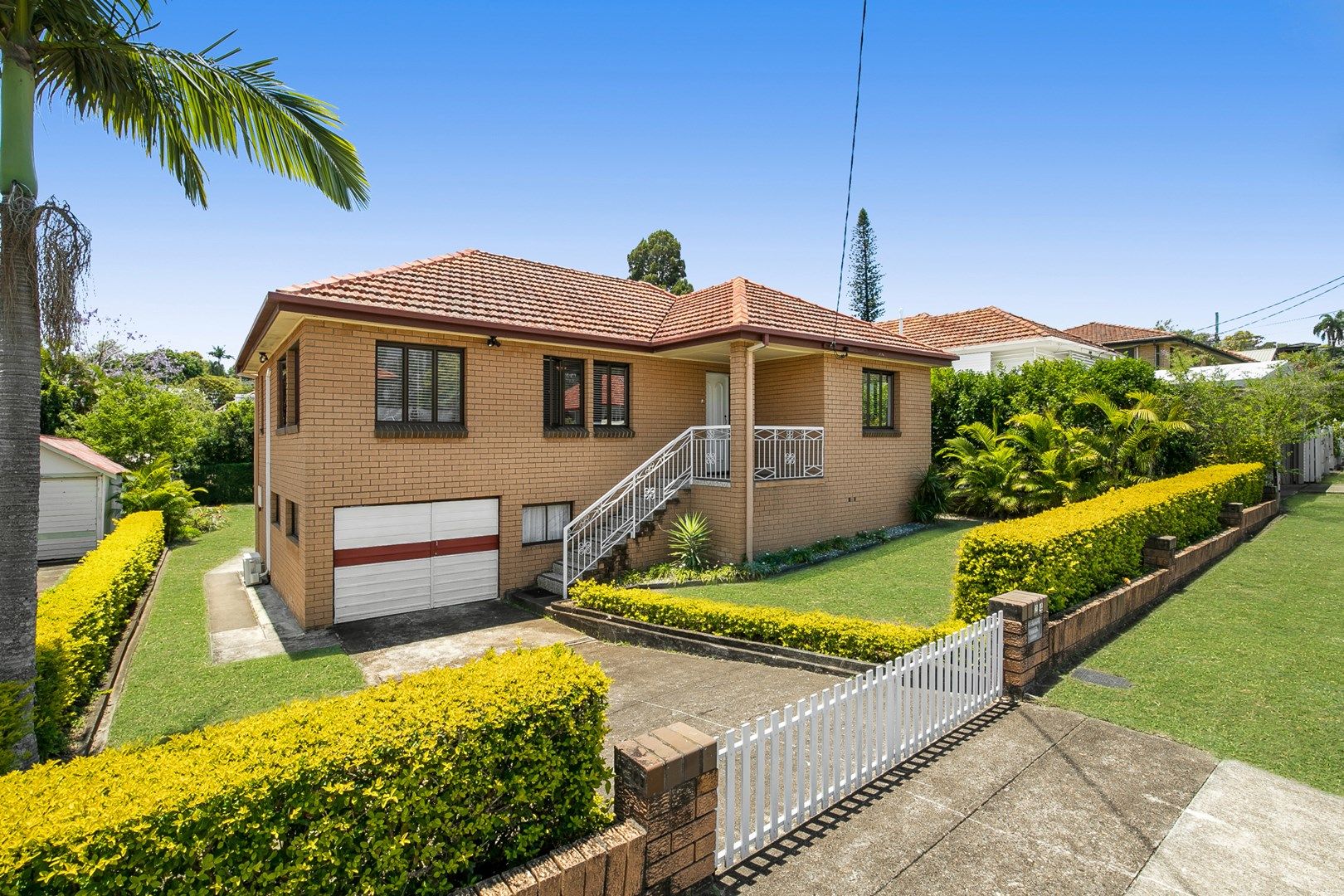 24 Citrus Street, Moorooka QLD 4105, Image 0