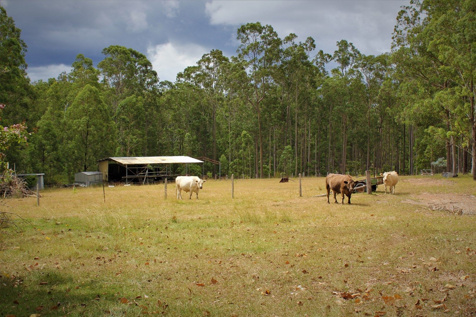 Skillion Flat NSW 2440, Image 0